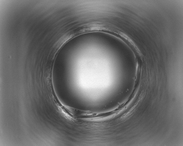 X0000061750801200512021510