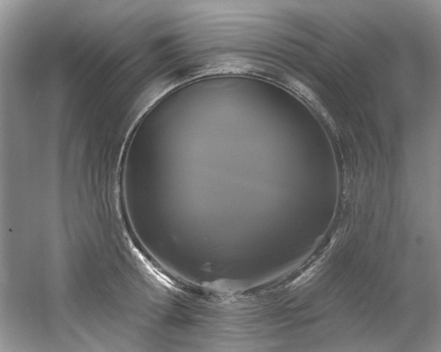 X0000061750802200512021510