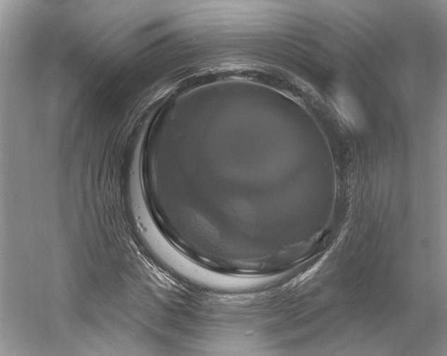 X0000061750825200512021509