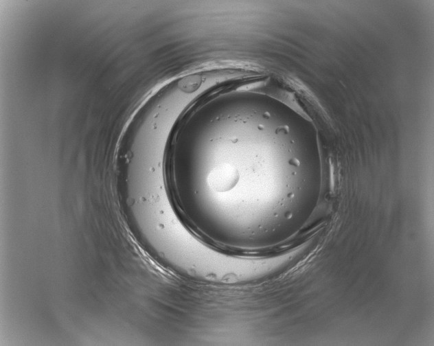 X0000061750828200512021509
