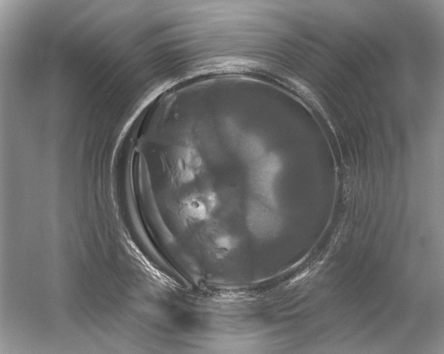 X0000061750835200512021509