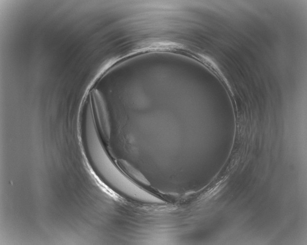 X0000061750851200512021509