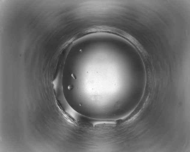 X0000061750857200512021509