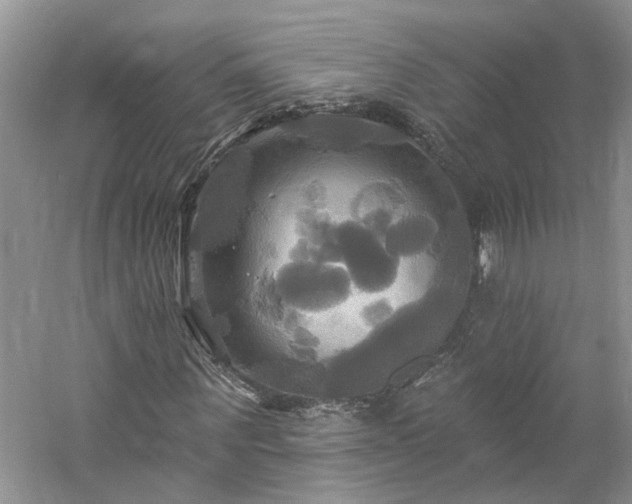 X0000061750867200512021509