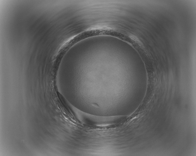 X0000061750872200512021509