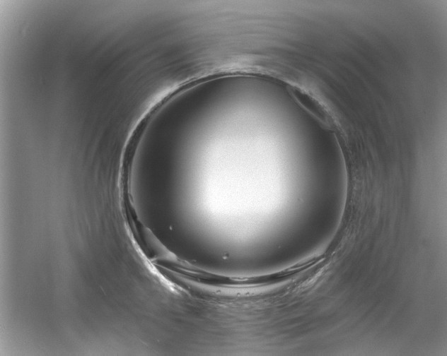X0000061750902200512021508