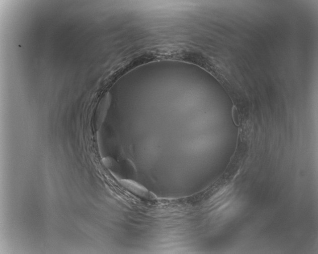 X0000061750913200512021507