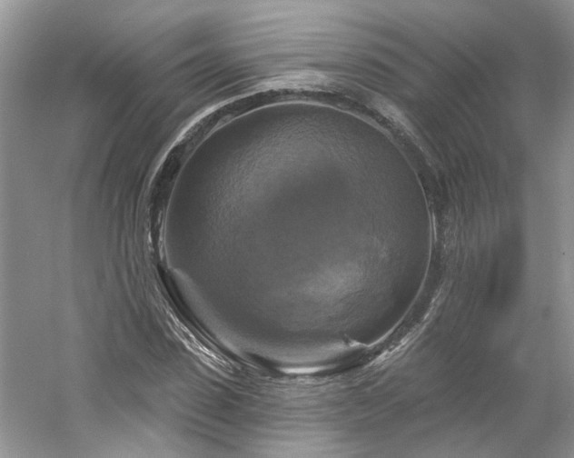 X0000061750923200512021507