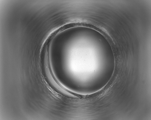 X0000061750927200512021507