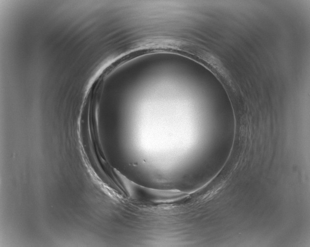 X0000061750936200512021507