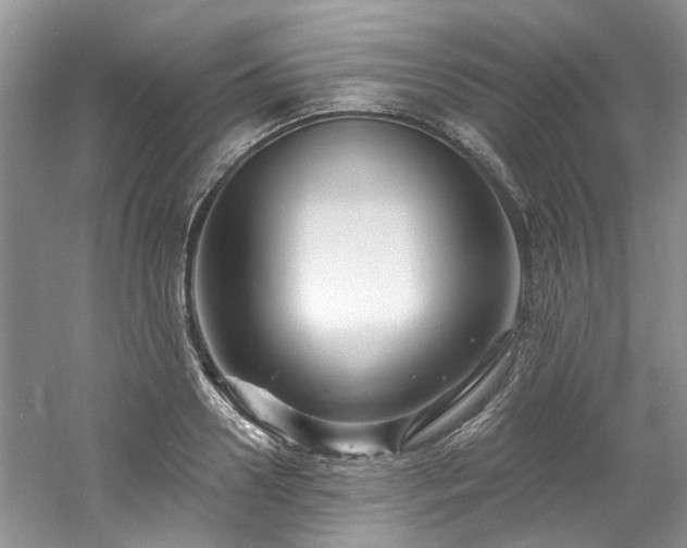 X0000061750938200512021508