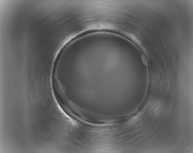 X0000061750943200512021508