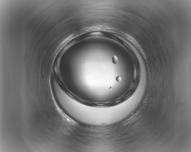 X0000061750946200512021508