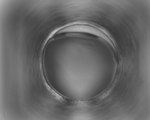 X0000061750958200512021508