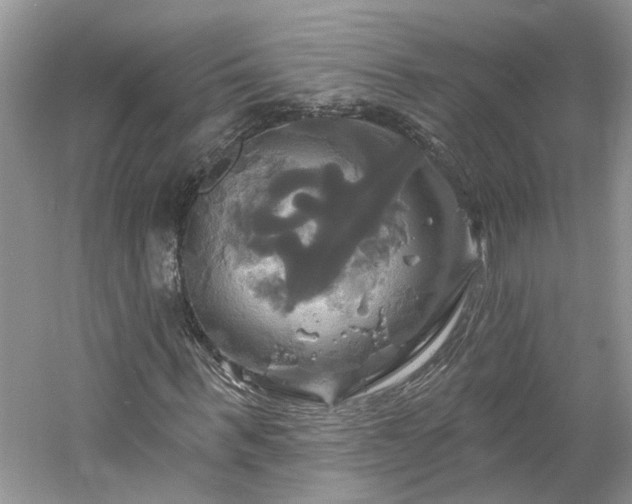 X0000061750963200512021507