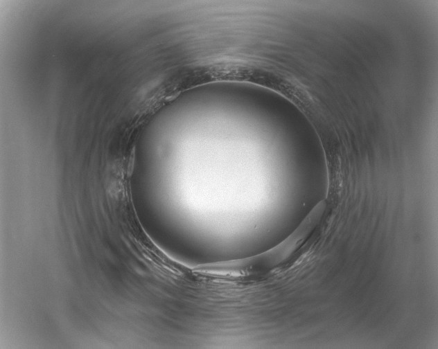 X0000061750964200512021507