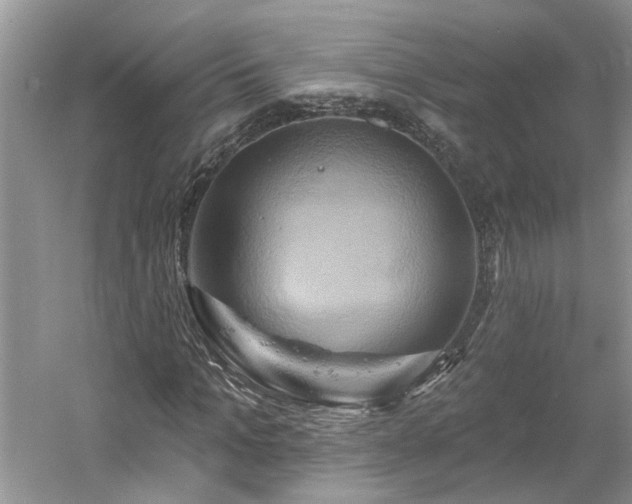 X0000061750965200512021507