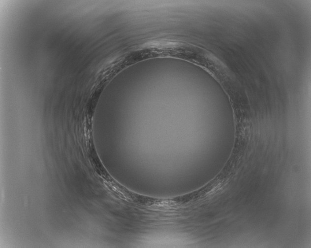 X0000061750966200512021507