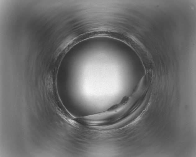 X0000061750969200512021507