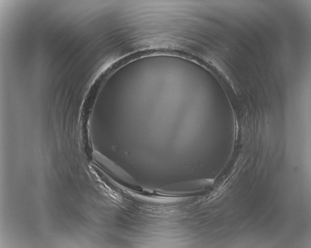 X0000061750975200512021507