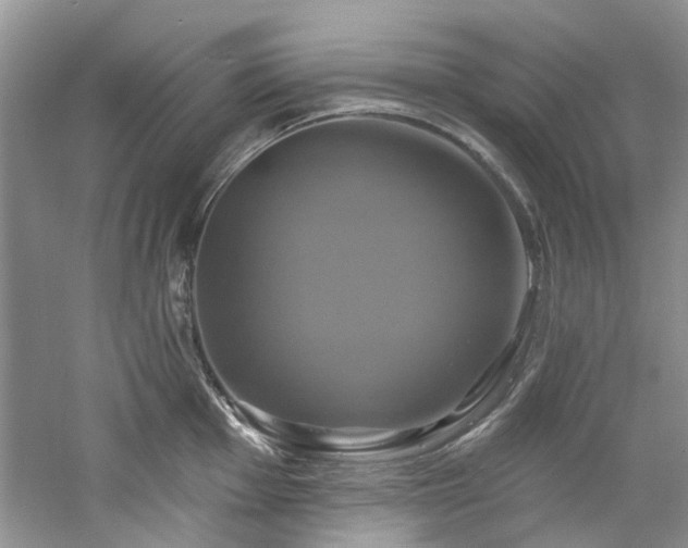 X0000061751001200512021506