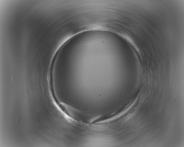 X0000061751007200512021506