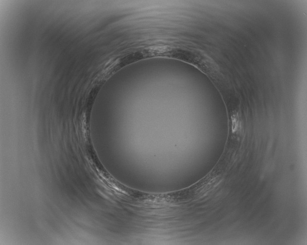 X0000061751011200512021505