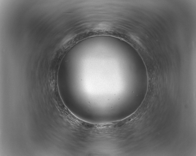 X0000061751015200512021505