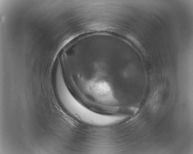 X0000061751023200512021506