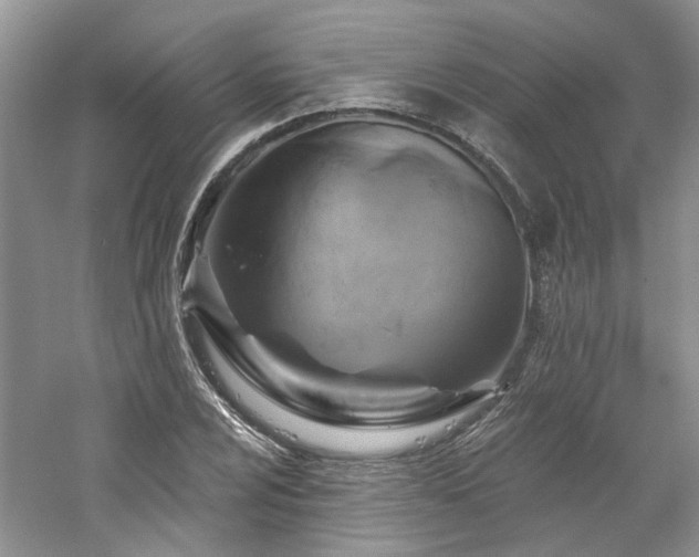X0000061751024200512021506