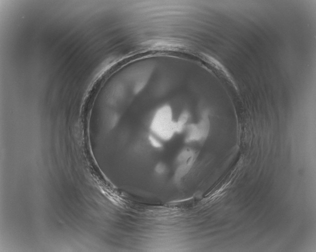 X0000061751027200512021506