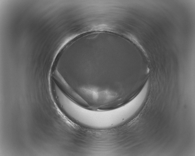 X0000061751032200512021506