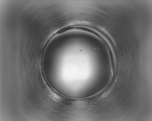 X0000061751033200512021506