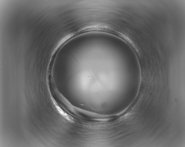 X0000061751042200512021506