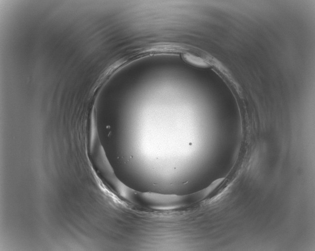 X0000061751049200512021506
