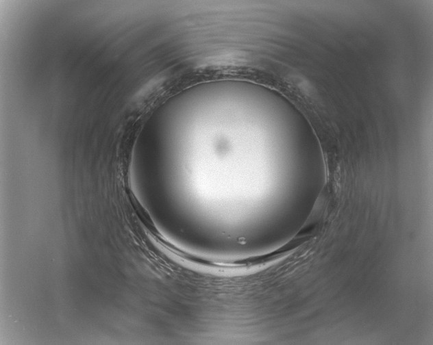 X0000061751062200512021505
