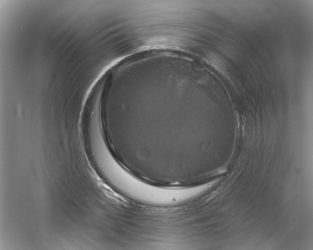 X0000061751068200512021505