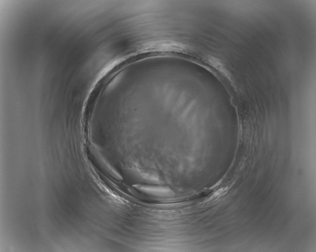 X0000061751071200512021505