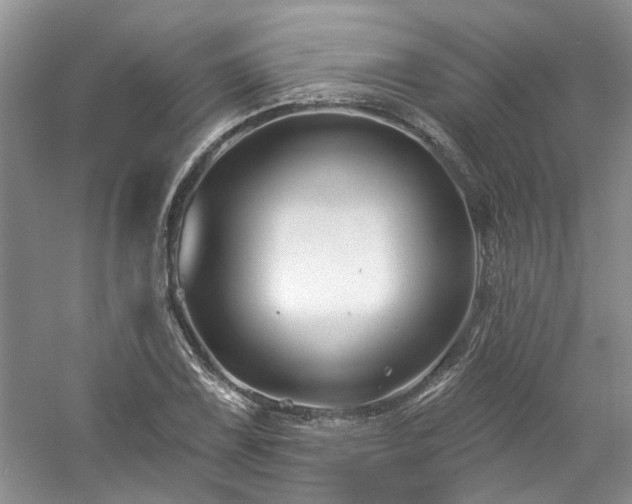 X0000061751075200512021505