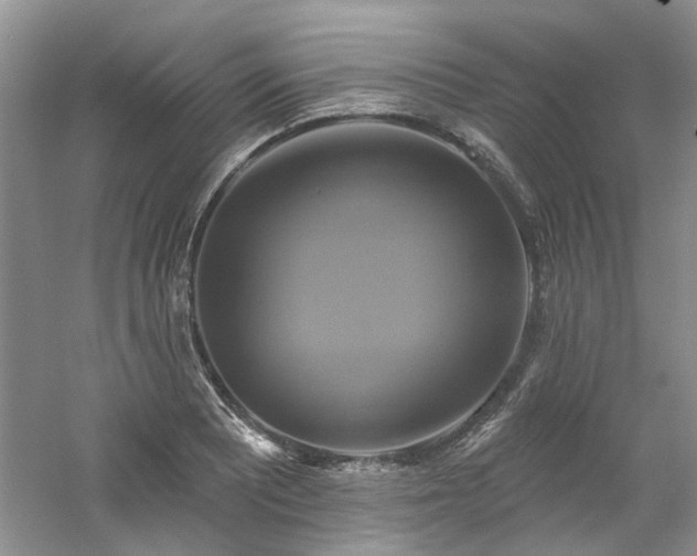 X0000061751081200512021505