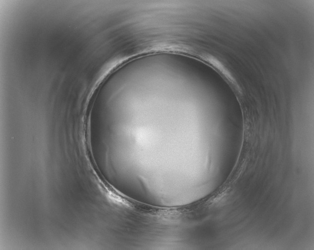 X0000061751094200512021505