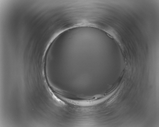 X0000061751102200512021505