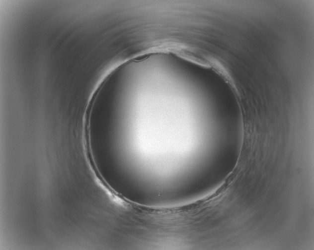 X0000061751103200512021505