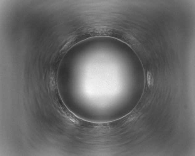 X0000061751107200512021504