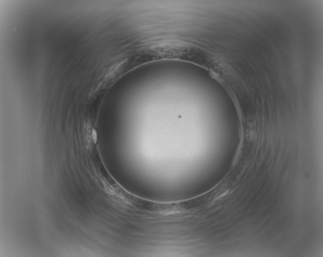 X0000061751108200512021504