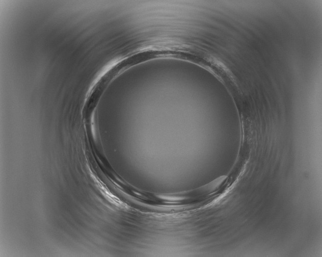 X0000061751114200512021504