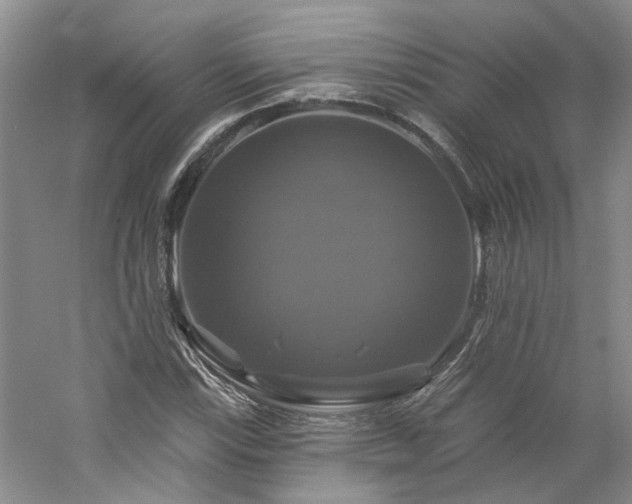 X0000061751115200512021504