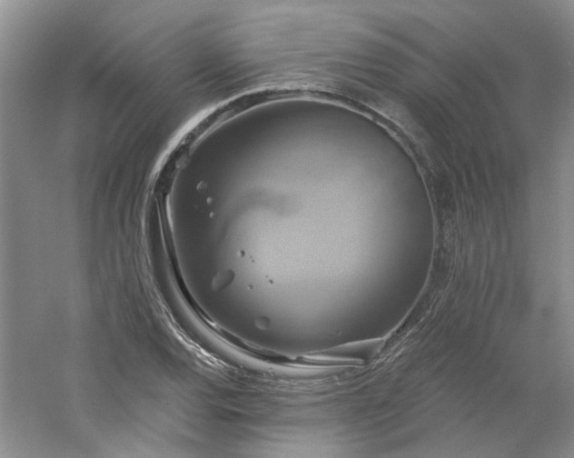 X0000061751120200512021504