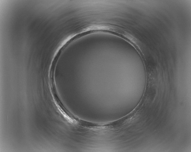 X0000061751127200512021504