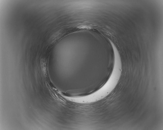 X0000061751154200512021504
